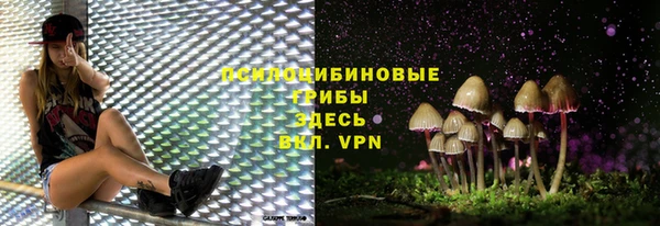 прущий лед Лагань