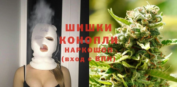 дмт Ладушкин