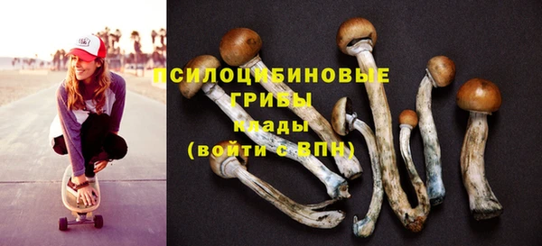 дмт Ладушкин